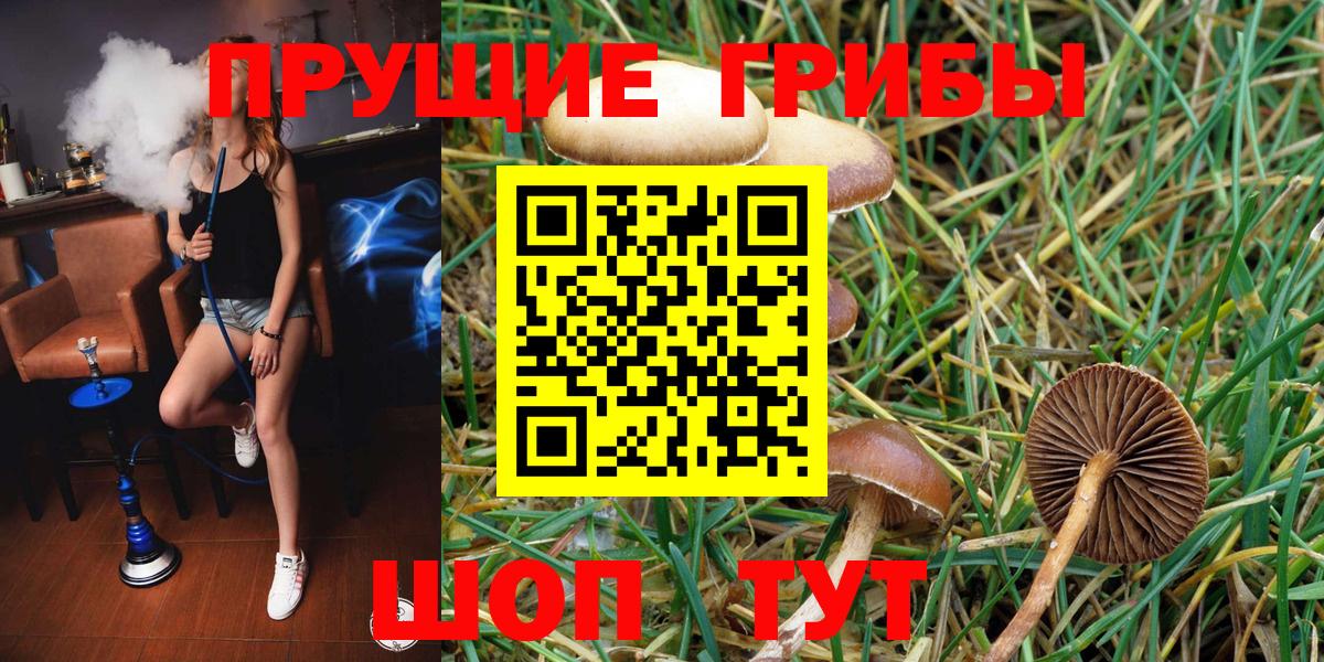 Псилоцибиновые грибы мицелий  Вход с VPN  Черняховск 